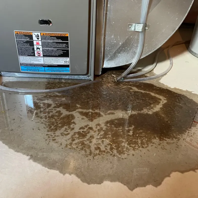 Appliance Leak Cleanup in Marshall County, IA